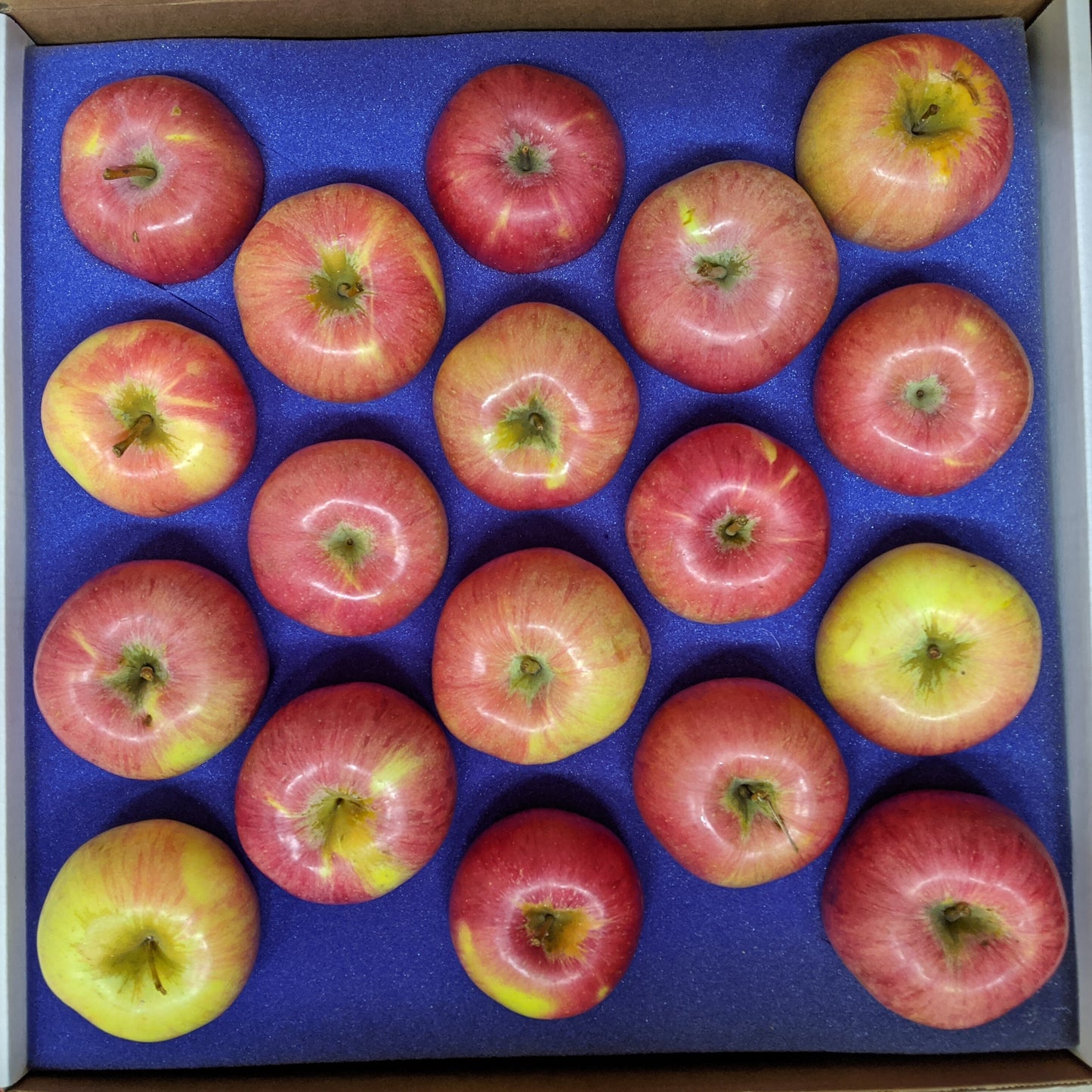 Box of 18 apples