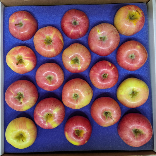 Box of 18 XL Mutsu apples
