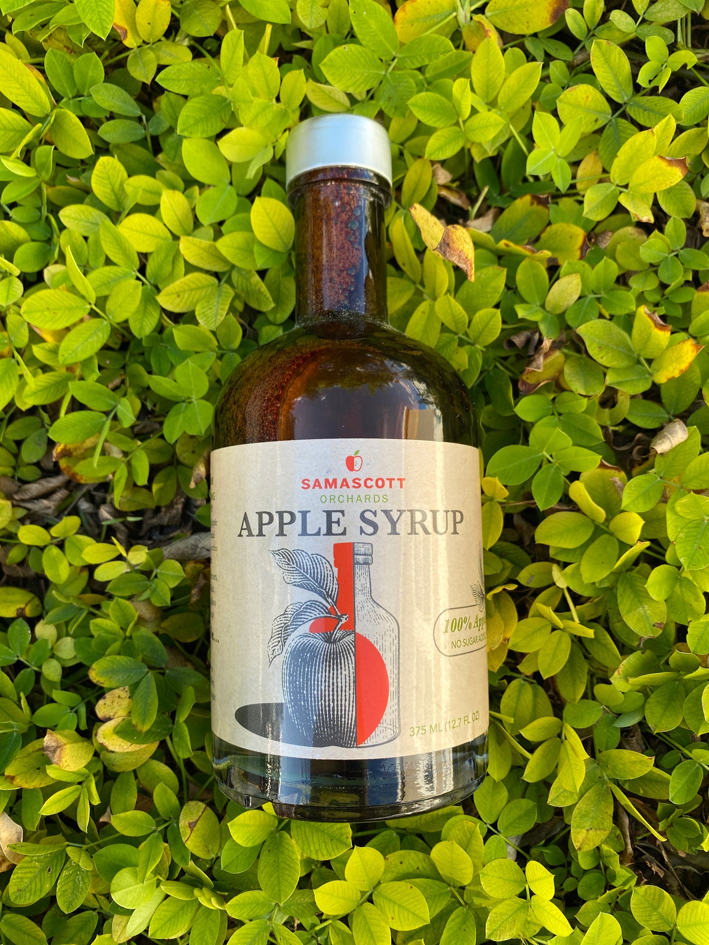 Box of 4 Apples + Apple Syrup