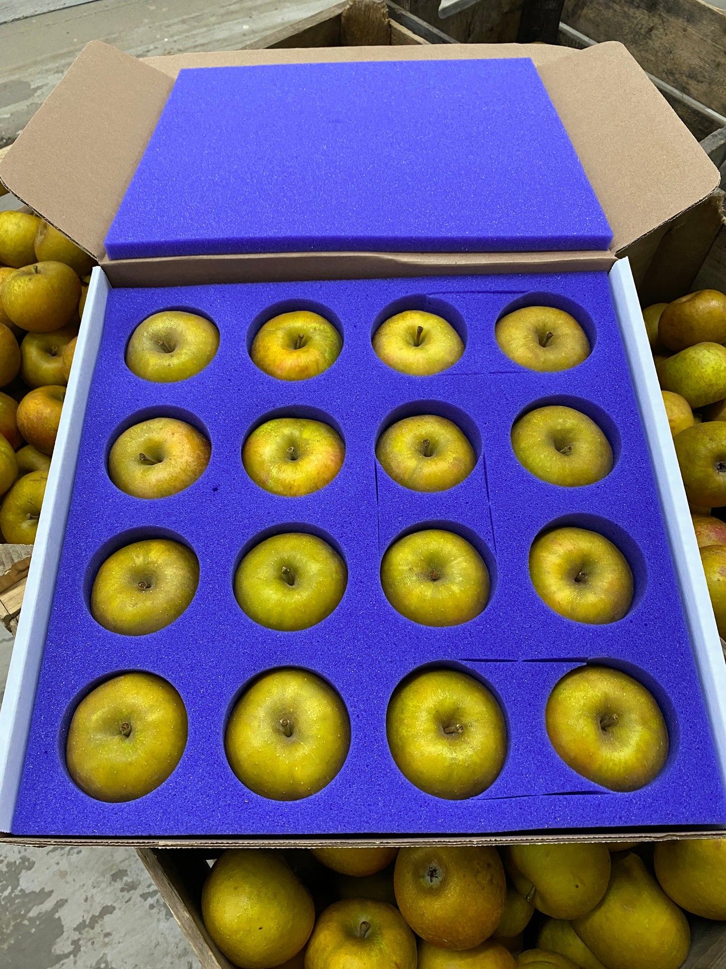 Box of 32 apples